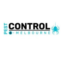 Ant Removal Melbourne