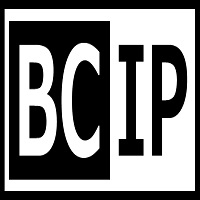 ИП Якушев Игорь Леонидович (BCIP)