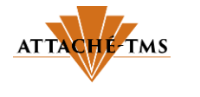 Attache TMS Associates