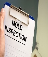 Pine Tree Mold Inspections