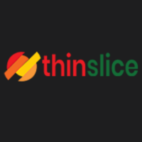 Thin Slice