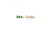 Mr Gabi