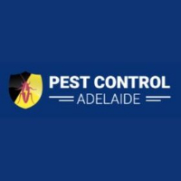 Pest Control Flea Adelaide