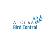 A Class Bird Control