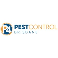 Bee Control Brisbane