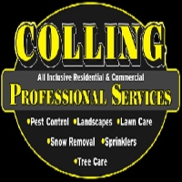 Colling Professional Services