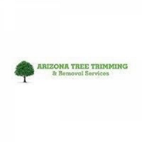 Arizona Tree Trimming & Removal - Scottsdale AZ