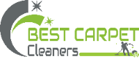 Best Carpet Cleaners