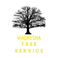 Waukesha Tree Service