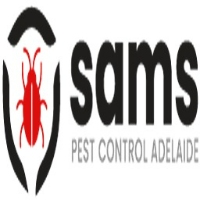 Possum Control Adelaide