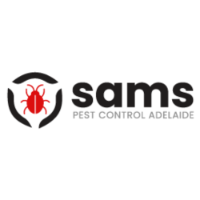 Wasp Control Adelaide