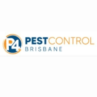 Mite Control Brisbane