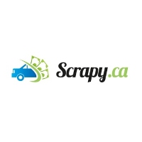 Scrapy Newmarket