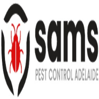 Borer Control Service Adelaide