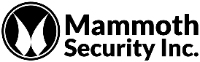 Mammoth Security Inc. New Haven