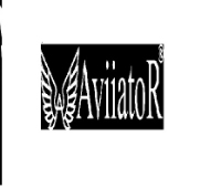 AviiatoR Full body pillows