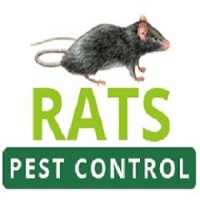 Rats Pest Control Perth