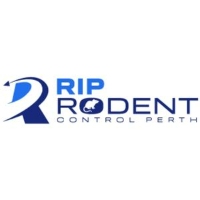 Rodent Treatment Perth