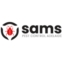 Mouse Removal In Adelaide