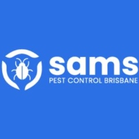 Pest Control Flea Brisbane