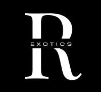 Roma Exotics - Luxury Car Rentals