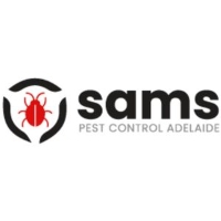 Bed Bugs Pest Control