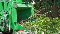 Fountain City Tree Services