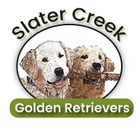 Slater Creek Golden Retrievers