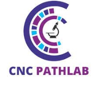 CNC path lab