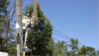 Titletown Tree Service