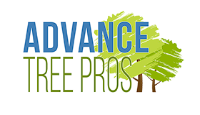 Advance Tree Pros