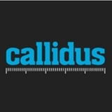 Callidus Surveys