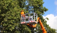 Tech Town Tree Service