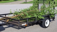 Oyster Town Tree Service