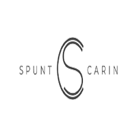 Spunt & Carin - Best Family Law Firm in Montreal