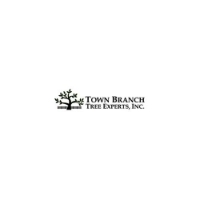 Townbranchtreeexperts