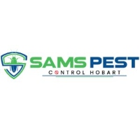 Same Day Borer Treatment Hobart