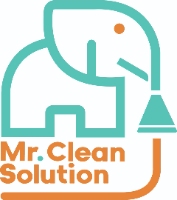 Mr Clean Solution