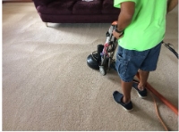 Carpet Cleaning in Cullman Alabama