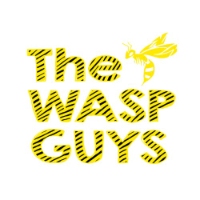 The Wasp Guys - Wasp Nest Removal Services in Surrey