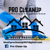 Procleanup  Cleaning