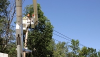 The Land of the Sky Tree Service