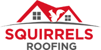 Squirrels Roofing