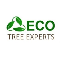 ECO Tree Experts