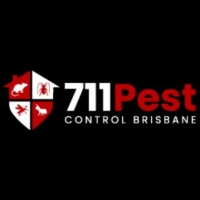 Rodent Removal Brisbane