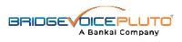 BridgeVoice