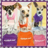 MIRAGE PET PRODUCTS