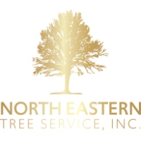 North Eastern Tree Service