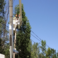 Koktowhanund City Tree Service