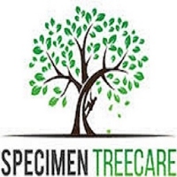 Specimen Treecare Ltd